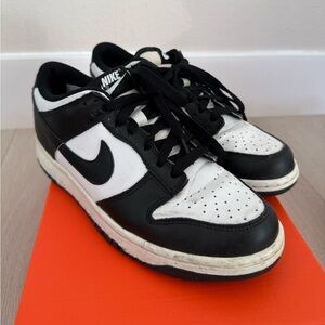 Nike Men’s Dunk Low Retro